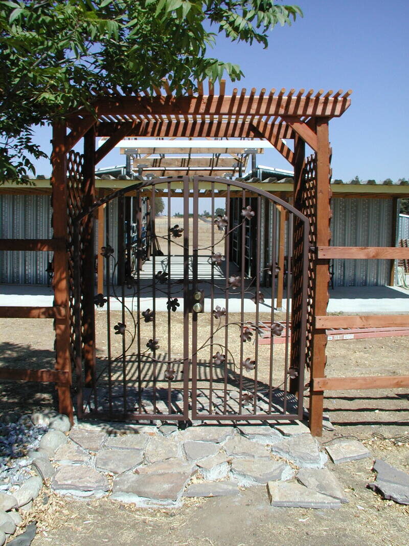 Decorative iron gate with hand-forged grape vine and leaf detail