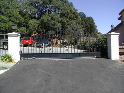 Grape vine themed driveway gate