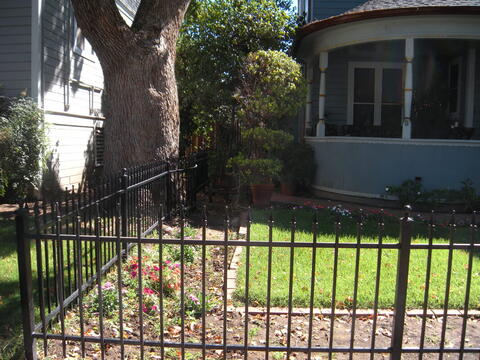 Custom iron front yard fence